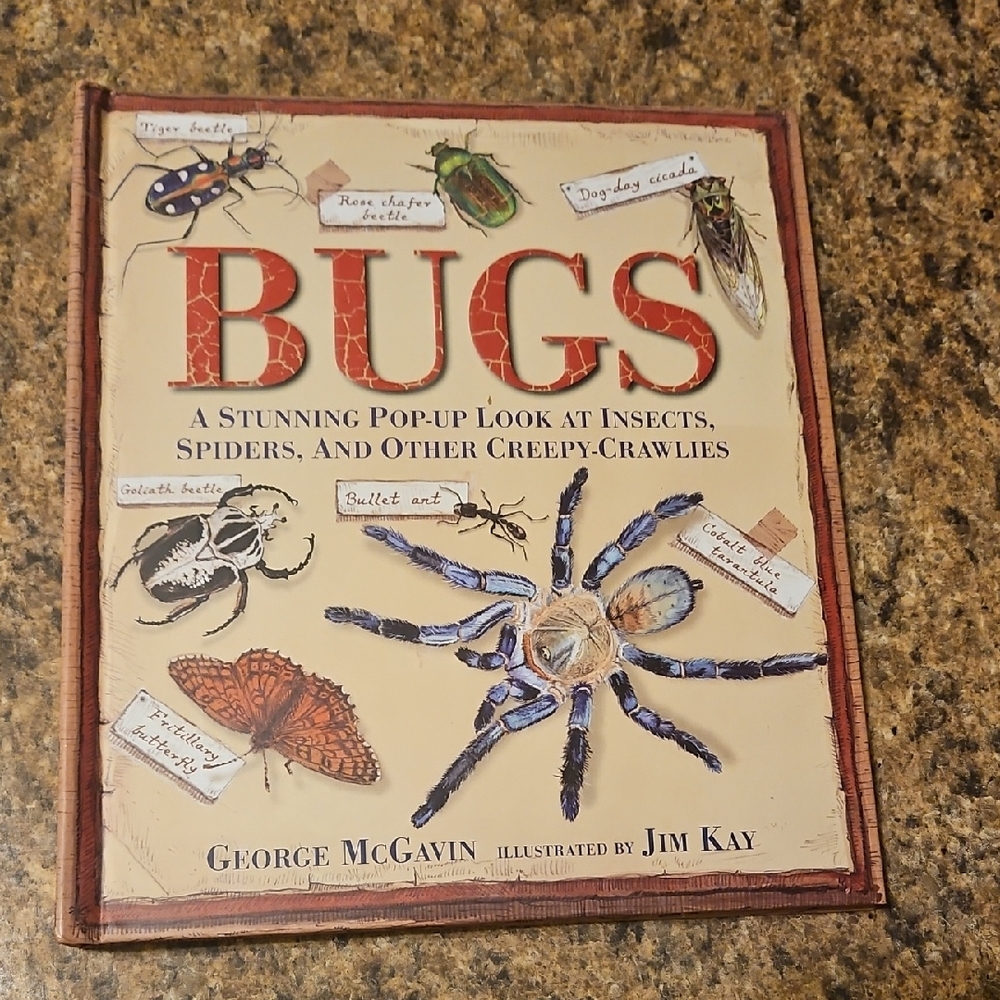 Bugs: A Stunning Pop-Up Look at Insects By George McGavin